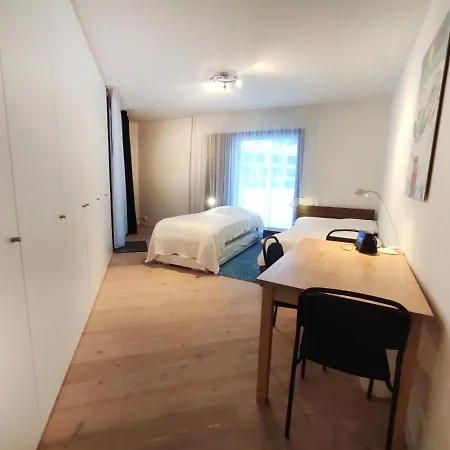Apartment Seewiesenstrasse By Interhome *
