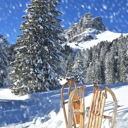 Seewiese Apt- Og By Interhome Davos