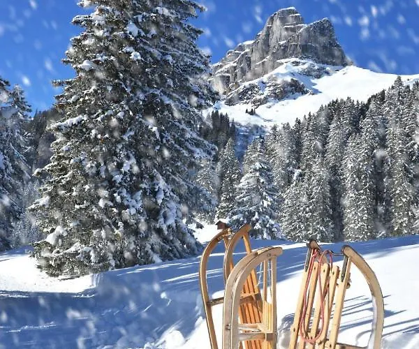 Seewiese Apt- Og By Interhome Davos